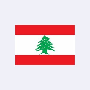 Ливан: Адвокаты / Юристы