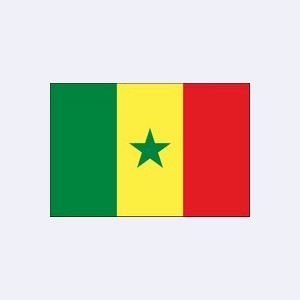 Сенегал: Адвокаты / Юристы