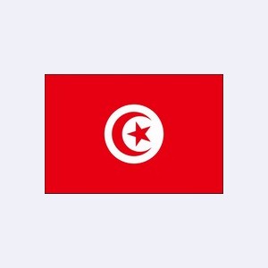 Тунис: Адвокаты / Юристы